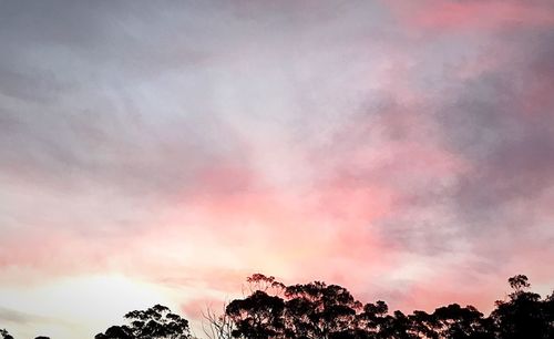 Low angle view of silhouette trees against sky at sunset