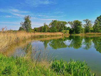 Scenic view of lake against sky