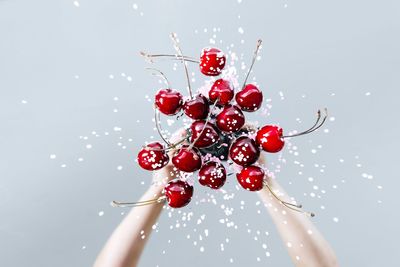 Close-up of hand holding cherries over white background