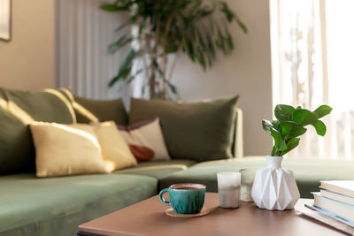Potted plant on table at home