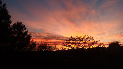 Silhouette of trees and landscape at sunset