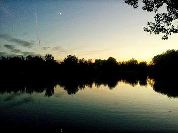 Reflection of trees in calm lake