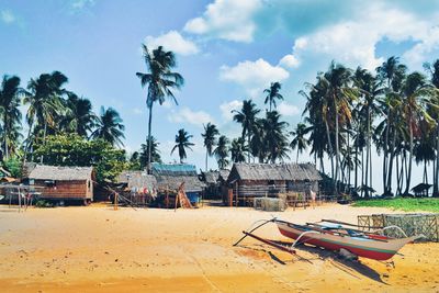 Palm trees on beach against sky