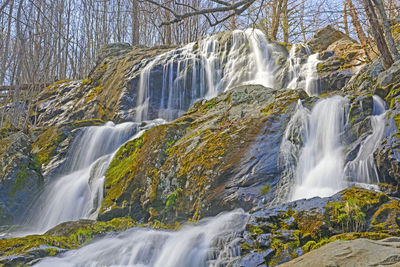 Waterfall in forest