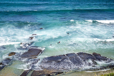 Scenic view of beach with surfers