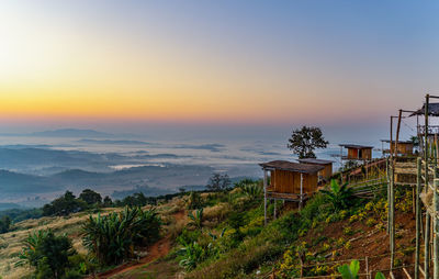 Plants and trees by building against sky during sunset