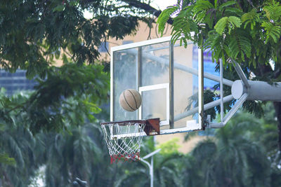 Basketball hoop against trees