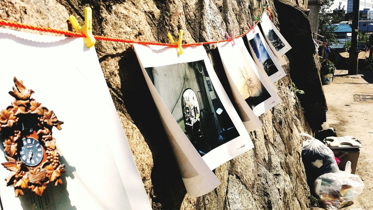 tree, hanging, tree trunk, low angle view, building exterior, built structure, architecture, sunlight, branch, day, outdoors, no people, clear sky, flag, rope, nature, drying, close-up, tradition, growth