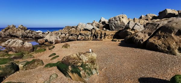 Scenic view of rocky beach against clear blue sky