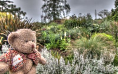 Portrait of girl with stuffed toy on tree