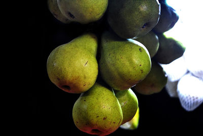 Close-up of pears against black background