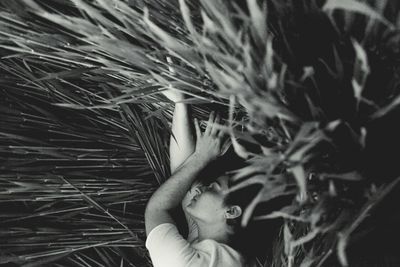 Close-up of dandelion