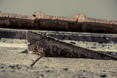 Close-up of rusty metal on wood