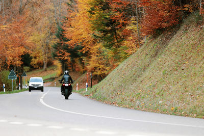 People walking on road