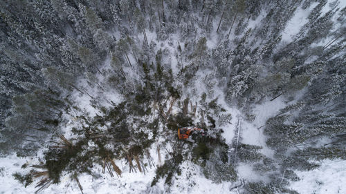 High angle view of forestry machinery in forest during winter