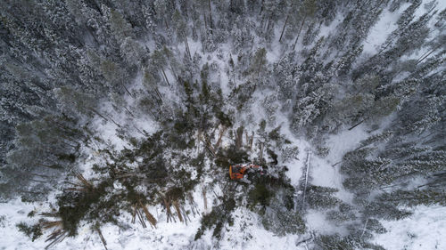 High angle view of trees by waterfall