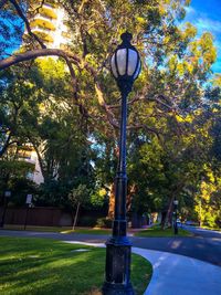 Street light in park