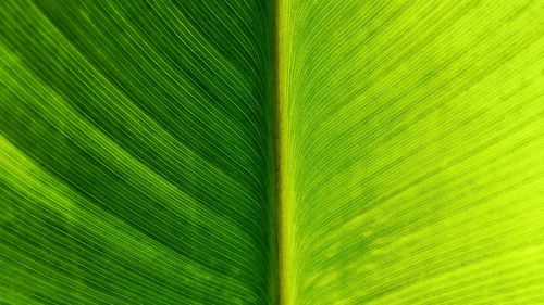 Full frame shot of yellow surface