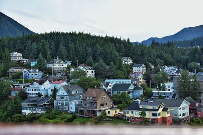 Houses in town against trees and sky