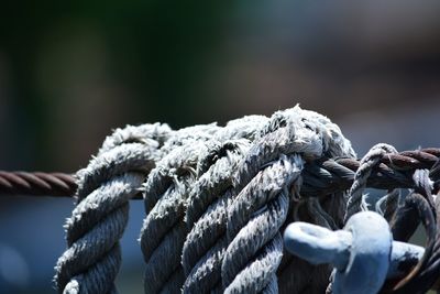 Close-up of ropes at harbor