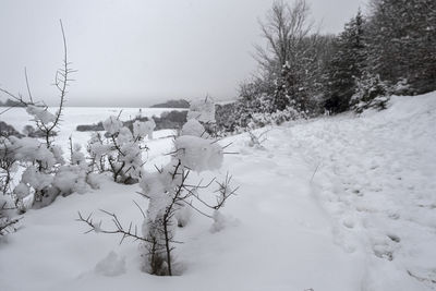Scenic view of snow covered field against sky