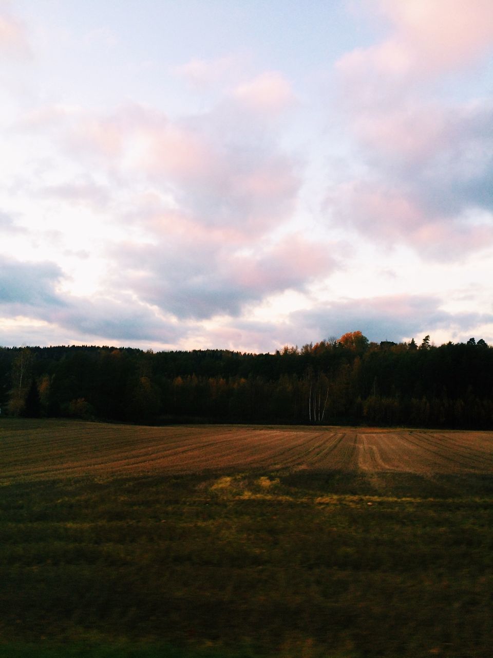 field, landscape, sky, tranquil scene, tranquility, scenics, rural scene, cloud - sky, beauty in nature, grass, tree, nature, agriculture, cloudy, grassy, farm, growth, cloud, sunset, idyllic