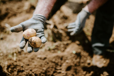 Close-up of man holding hands on field