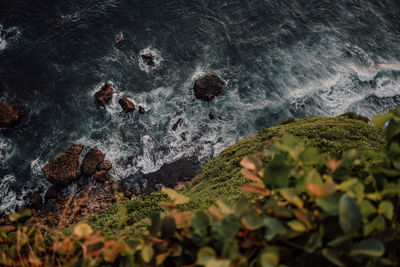 High angle view of rocks on beach