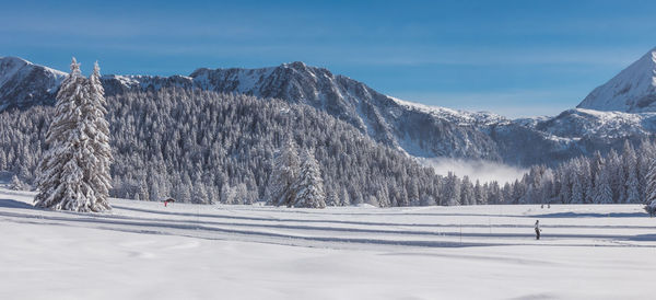 snow