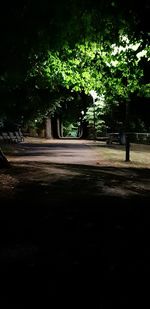 Street amidst trees in park