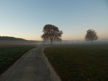 Road amidst trees on field against sky during sunset