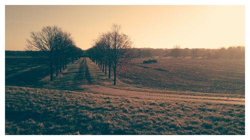 Scenic view of field against clear sky