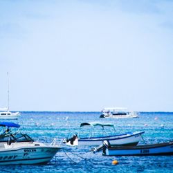 Boats in sea