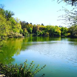 Scenic view of lake in forest against clear sky