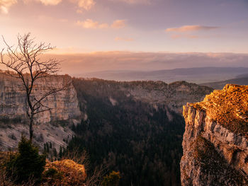 Scenic view of landscape against sky during sunset