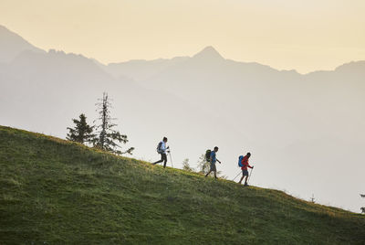 Hikers with hiking poles descending mountain, mutters, tyrol, austria