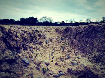 Close-up of landscape against sky