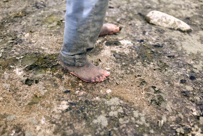 Low section of person standing on beach