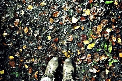 low section, person, shoe, standing, personal perspective, high angle view, lifestyles, leaf, human foot, leisure activity, men, autumn, footwear, dry, directly above, leaves, unrecognizable person
