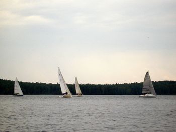 Sailboat sailing on sea against sky