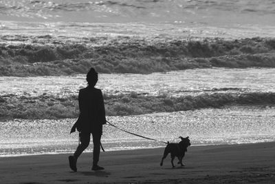 Rear view of silhouette men on beach