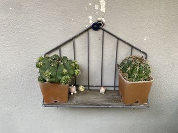 Potted plant hanging on wall