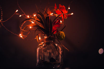 Close-up of illuminated christmas lights in glass at night