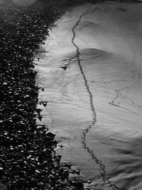 High angle view of bird on beach