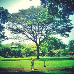 People relaxing on grassy field in park