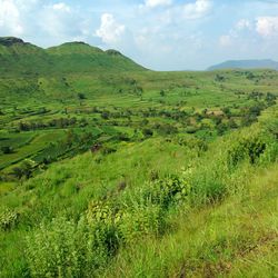 Scenic view of landscape against cloudy sky