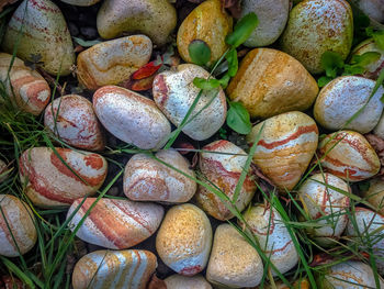 Full frame shot of fruits