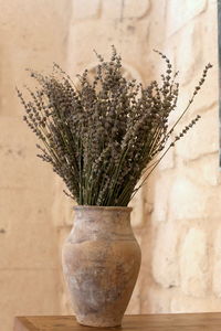 Close-up of potted plant against wall