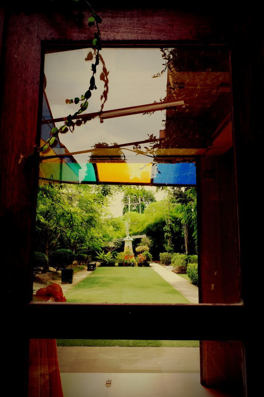 tree, built structure, hanging, window, architecture, indoors, no people, plant, building exterior, nature, day, sky