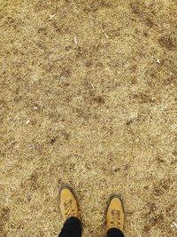 Low section of man standing on field